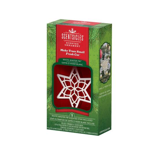 Scentsicles® 3" White Winter Fir Scented Star Ornament, 2ct.